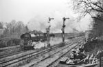 Die Saalfelder 01 530 befördert den D 128 (Berlin Stadtbahn - Probstzella - München) in Berlin-Wannsee. (12.1967) <i>Foto: Jürgen Hagemann</i>