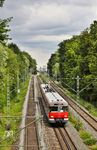 420 484 auf seiner alten Stammstrecke von Wuppertal nach Düsseldorf bei Hochdahl. (05.07.2026) <i>Foto: Joachim Bügel</i>