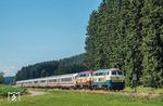 Bei Bad Grönenbach war der IC 2012 mit 218 446 und 218 419 noch halbwegs pünktlich unterwegs. Sein Ziel in Dortmund erreichte er allerdings an diesem Tag wieder einmal verspätet mit +45 Minuten wegen "Reparatur an einem Signal". (04.07.2026) <i>Foto: Joachim Schmidt</i>