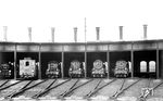 1929 fanden sich Maschinenbaustudenten der Technischen Hochschule Darmstadt zusammen, um das "Lokomotivbildarchiv des Verkehrszentralamtes der Deutschen Studentenschaften" (DLA) zu gründen. Zu den Gründungsmitgliedern gehörte Hermann Maey, der es für das Foto im Bw Darmstadt mit den dort stationierten 91 394, 89 7381, 38 3430, 38 2641, 38 3971 und 38 3070 nicht weit hatte. (1929) <i>Foto: Hermann Maey</i>