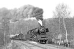 Im März 1984 verkehrten die Züge zwischen Hartenstein und Schlema auf dem "falschen" Gleis, was neue Fotomöglichkeiten eröffnete. 50 3519 vom Bw Karl-Marx-Stadt dampft mit Dg 54311 nach Aue (Sachs) bei Hartenstein vorbei. (24.03.1984) <i>Foto: Thomas Fischer</i>