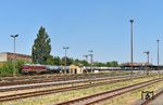 132 004 der Leipziger Eisenbahnverkehrsgesellschaft Delitzsch (LEG) fährt mit einem Kesselwagenzug zum Tanklager Lederhose durch den Bahnhof Zeitz. Der unter Eisenbahnfreunden für seine Formsignale bekannte Bahnhof büßte mittlerweile seine alte Signaltechnik ein. Zwei Wochen nach dieser Aufnahme wurden mittels Hubschraubern neue Ks-Signale gesetzt.  (26.06.2026) <i>Foto: Ralf Opalka</i>
