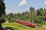 218 428 mit RE 4865 nach München zwischen Wiesau (Oberpf) und Escheldorf. (24.06.2026) <i>Foto: Joachim Bügel</i>
