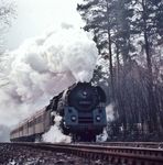 Durch den Berliner Grunewald kachelt die Wittenberger 01 0525 vor dem D 337 aus Hamburg. (02.1975) <i>Foto: Ulrich Hesse</i>
