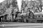 Die bereits 60 Jahre alte Dampflok Nr. 52 steht mit abblasenden Sicherheitsventilen vor einem Personenzug nach Asunción im Bahnhof Encarnación. Das Eisenbahnnetz in Paraguay bestand in erster Linie aus der regelspurigen Strecke von der Hauptstadt Asunción zum 370 km entfernten Grenzbahnhof Encarnación nach Argentinien. Der Personenverkehr der Verbindung endete 1999, er war dem konkurrierenden Busverkehr nicht mehr gewachsen. Der letzte Güterverkehr wurde 2010 eingestellt. (06.02.1972) <i>Foto: Jörg Schulze</i>