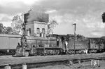 Auch eine vierbeinige Bewunderin der Dampflok fand sich während der Rangierarbeiten der Lok 58 (North British Locomotive Co., Baujahr 1911) im Bahnhof San Salvador ein. (06.02.1972) <i>Foto: Jörg Schulze</i>