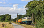218 460 der WestFrankenBahn Aschaffenburg befördert im DGS 91180 (Hamm Rbf - Köln-Mülheim) eine Stopfmaschine bei Solingen-Ohligs. (19.07.2026) <i>Foto: Joachim Bügel</i>