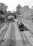 Die Paderborner 01 209 mit dem D 131 (Bonn - Altenbeken - Braunschweig) im Einschnitt zwischen den Bahnhöfen Wuppertal-Steinbeck und -Elberfeld. (08.08.1959) <i>Foto: Ernst Winter</i>