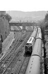 Blick von der Kölner Straße in Wuppertal auf die alte Brücke der Südstraße, die mit der Elektrifizierung durch eine neue Brücke ersetzt wurde. Aus dem Bahnhof Steinbeck kommend fährt V 200 084 (Bw Hamm/Westf) mit dem F 33 "Gambrinus" dem Bahnhof Elberfeld entgegen. In der Gegenrichtung ist der D 104 nach Köln unterwegs. Das Gleisfeld verdeutlicht die Enge zwischen beiden Bahnhöfen. Für die Verbindung zwischen beiden Bahnhöfen musste 1848/49 extra der Berghang abgetragen werden. Das fünfte Bahnsteiggleis links ist ein Ausweichgleis für den Nahverkehr (u.a. für den "Samba" nach Cronenberg). Ganz links geht es zu den Abstellgleisen und dem Bw Steinbeck. Rechts über der Brücke sind die damals noch ausgedehnten Anlagen des Güterbahnhofs im Dunst zu erahnen. (08.08.1959) <i>Foto: Ernst Winter</i>