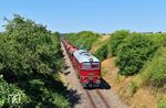 V 200 507 mit einem leeren Schotterwagenzug auf der Fahrt zu einem Schotterwerk bei Lüptitz zwischen Thallwitz und Böhlitz an der früheren Bahnstrecke von Eilenburg nach Wurzen. Nur wegen des Schotterwerkes wird das Gleis bis Lüptitz überhaupt noch betrieben. Die Wagen ähneln sehr den Tads-Getreide-Wagen, die in den 1980er Jahren von einer französischen Firma an die DR geliefert worden waren.  (13.07.2026) <i>Foto: Ralf Opalka</i>