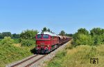 V 200 507 fährt durch den ehemaligen Bahnhof Kleinzschepa und nähert sich langsam und pfeifend einem unbeschrankten Bahnübergang. Die Lok der Erfurter Bahnservice Gesellschaft wurde 1971 bei der Lokomotivfabrik Oktober-Revolution in Woroschilowgrad (heute ukr. Luhansk) gebaut und ursprünglich an die Tschechischen Eisenbahnen (CSD) ausgeliefert. Die Reichsbahnnummer ist daher reine Fiktion. (21.07.2026) <i>Foto: Ralf Opalka</i>