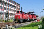 363 686 mit 363 628 und 363 115 fahren vom DB-Cargowerk Mainz-Bischofsheim zum Dienst in Frankfurt (Main) Hbf durch Rüsselsheim. (30.04.2019) <i>Foto: Roland Hackl</i>
