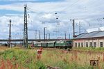 141 228 mit einem Pendelzug zum Lokschuppenfest der Museumseisenbahn Hanau zwischen dem Museumsgelände und dem Hauptbahnhof. Neben dem Zug ist der Rechteckschuppen zu sehen, der frisch wieder ein Dach erhalten hat, nachdem die alte Konstruktion 2001 eingestürzt war. (14.06.2026) <i>Foto: Marvin Christ</i>