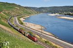 193 043 der Beacon Rail Leasing GmbH München und 193 001 der AKIEM S.A.S. Saint Denis vor einem DGS nördlich von Boppard. Der Güterzug war übrigens nicht extrem lang, im Hintergrund fährt ein anderer Zug nordwärts. Trotz der Sperrung der Rechten Rheinstrecke fuhren aber dennoch kaum Güterzüge an diesem Tag.  (29.07.2026) <i>Foto: Zeno Pillmann</i>