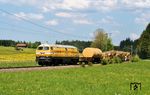 Die V 320 war mit sechs Achsen, zwei 1.900 PS-Motoren und einem Dienstgewicht von 126 Tonnen die größte und stärkste Diesellokomotive der Deutschen Bundesbahn. 1974 wurde sie nach Ende der Mietzeit an den Hersteller Henschel zurückgegeben und war anschließend bei verschiedenen Privatbahnen im Einsatz. 1998 kaufte sie die Gleisbaufirma Wiebe. Am 2. August 2015 erlitt die Lok in Donauwörth einen Achslagerschaden. Infolgedessen geriet das Schmierfett der betreffenden Achse in Brand, weshalb die Lok abgestellt wurde. Nachdem eine Untersuchung am Fahrwerk weitere Schäden aufgedeckt hatte, lehnte Wiebe eine Reparatur ab, auch weil die nächste Hauptuntersuchung kurze Zeit später anstand. Als Dauerleihgabe ging V 320 001 im September 2020 zum Historischen Lokschuppen nach Wittenberge. Hier ist sie noch im Bauzugeinsatz der Fa. Wiebe bei Fellach nahe Holzkirchen im Einsatz. (21.05.2005) <i>Foto: Stefan von Lossow</i>