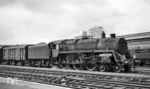 Durch den Londoner Bahnhof Clapham Junction fährt BR 73118, eine Standard Class 5 von Doncaster Works (Baujahr 1956). 1976 wurde die Anzahl der binnen 24 Stunden verkehrenden Züge mit rund 2400 angegeben. Darunter waren etwa 150 Güterzüge, die hier von der Kensington-Linie in einen anderen Teil des Netzes wechseln. Die Mehrheit waren Personenzüge, die größtenteils eines der 20 Gleise benutzen, die in Richtung London Waterloo bzw. Victoria Station führen. Für die Bedienung der Weichen und Signale im Bahnhof waren damals bis 10 Stellwerke zuständig, die teilweise noch mechanisch bedient wurden. Am Morgen des 12. Dezember 1988 ereignete sich südwestlich des Bahnhofs ein schweres Unglück. Bei einer Kollision dreier Vorortzüge wurden 35 Menschen getötet und mehr als 100 zum Teil schwer verletzt.  (15.07.1966) <i>Foto: Reinhard Gumbert</i>