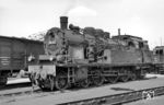 78 321 wartet in ihrem Heimat-Bw Hanau auf neue Aufgaben, wo es für die Lok wohl nicht viel zu tun gab. Nach nur 10-monatiger Bw-Zugehörigkeit wurde sie am 15.10.1966 nach Aalen abgegeben. (05.08.1966) <i>Foto: Reinhard Gumbert</i>
