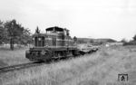 Diesellok V 85 (Henschel, Baujahr 1962, Typ DH 850 D) der Butzbach-Licher Eisenbahn mit einem Güterzug bei Pohl-Göns. (07.08.1966) <i>Foto: Reinhard Gumbert</i>