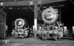 50 626 und 50 2167 genießen eine Pause in ihrem Heimat-Bw Frankfurt/M-2. (10.08.1966) <i>Foto: Reinhard Gumbert</i>