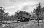 64 297 (Bw Aschaffenburg) mit P 3808 nach Miltenberg zwischen Kleinwallstadt und Obernburg-Elsenfeld. (11.08.1966) <i>Foto: Reinhard Gumbert</i>