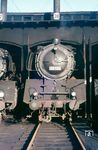03 130 sonnt sich auf Stand 38 im Lokschuppen ihres Heimat-Bw Hamburg-Altona. Im Winterfahrplan 1966/67 waren sämtliche Altonaer 03 nur noch als Reservelok eingeteilt, da keine Saisonzüge mehr zu fahren waren. Dadurch waren V 200 freigeworden, die anstelle der 03 eingesetzt wurden. Zum Sommerfahrplan 1967 kamen nochmals 3 Maschinen im Saisonverkehr nach Westerland (Sylt) zum Einsatz. Dann übernahm die Baureihe 01.10. (12.1966) <i>Foto: Rolf Hahmann</i>