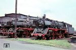 Für die Baureihe 03 hatte die DB das Bw Ulm als Auslauf-Bw festgelegt. Der Auslaufbetrieb brachte es mit sich, dass einige Lokomotiven nur kurze Zeit bis zu einem größeren Schaden oder bis zur Fälligkeit einer Untersuchung dort eingesetzt waren. Im Sommer 1965 hatte Ulm mit 17 Maschinen der Baureihe 03 den größten Bestand überhaupt. Dazu gehörte 03 132, die neben 03 288 in ihrem Heimat-Bw steht. (06.1966) <i>Foto: Rolf Hahmann</i>