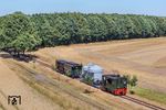 Schmalspurverkehr mit Lok 3 "PLETTENBERG" zum 60-jährigen DEV-Jubiläum vor Heiligenberg. (29.07.2026) <i>Foto: Joachim Schmidt</i>