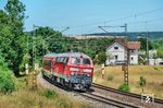 218 495 überführt einen Wagen des München-Nürnberg-Express (MNX) bei Westerstetten. Seit 10. Dezember 2006 rollt der MNX mit umgebauten Wagen des IC1 und war der erste Regionalzug, der mit 200 km/h unterwegs war. Technische Mängel an den zwischenzeitlich von Skoda eingesetzten Fahrzeugen führten seit 15. Dezember 2024 zum erneuten Einsatz der Wendezug-Garnituren aus dem InterCity-Verkehr. Ab Dezember 2028 sollen Fahrzeuge des Typs Siemens Desiro HC in einer druckdichten Variante mit einer Höchstgeschwindigkeit von 190 km/h übernehmen. (03.07.2026) <i>Foto: Joachim Schmidt</i>