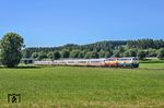 Bei "Kaiserwetter" verabschiedete sich der IC "Allgäu". Auch der Betriebshof Kempten (Allg) setzte seine beiden schönsten 218er ein. Zum Abschluss kamen die türkis-beige 218 446 "Meike" und die erst im Juni 2016 in rot-beige lackierte 218 419 "Walli" zum Einsatz, hier vor dem IC 2012 bei Bad Grönenbach. (04.07.2026) <i>Foto: Atijana Schmidt</i>