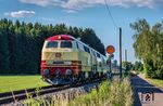 Das schöne Wetter am letzten Einsatz-Wochenende des IC "Allgäu" zog hunderte von Fotografen ins Allgäu. Allein rund 20 Fotografen standen bei Bad Grönenbach. Nach einem Kreuzungshalt konnten 218 419 und 218 446 mit einer fast 20 minütigen Zusatzverspätung die Reise vor IC 2013 in Richtung Kempten (Allg) fortsetzen, die letztlich mit einer Verspätung von 35 Minuten in Oberstdorf endete. (04.07.2026) <i>Foto: Atijana Schmidt</i>