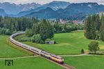 Zum letzten Mal bespannen 218 419 und 218 446 den IC 2012 nach Dortmund. Vor der Allgäuer Alpenkulisse rollt er bei Unterthalhofen vorbei. (05.07.2026) <i>Foto: Joachim Schmidt</i>