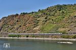 Ersatzzug ICE 2901 (für ICE 2013) nach Oberstdorf mit 248 510 (Zuglok) und 248 509 nördlich von Oberwesel. Auffällig ist, dass der trockene Sommer nicht nur dem Rhein zugesetzt hat, auch die Bäume verfärben sich bereits wie im Herbst. (08.08.2026) <i>Foto: Zeno Pillmann</i>