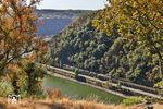 Schon wie im Herbst präsentiert sich der Blick von der Loreley auf RTB 186 426, die mit DGS 41596 nach Antwerpen Noord soeben den Bett-Tunnel bei St. Goar verlassen hat. (11.08.2026) <i>Foto: Joachim Bügel</i>