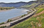 411 128 als ICE 28 (Nürnberg - Dortmund) an der Bopparder Hamm mit dem Rhein bei extremen Niedrigwasser. (11.08.2026) <i>Foto: Joachim Bügel</i>