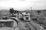 Zugkreuzung auf der Bahnstrecke von Milagro nach Durán in der pazifischen Küstenregion Ecuadors. Es kreuzen Autoferro No. 108 (Ferrostaal Essen, Baujahr 1958) und ein Kesselwagenzug mit der dieselelektrischen No. 167 der privaten Empresa de Ferrocarriles Ecuatorianos (EFE). (13.12.1971) <i>Foto: Jörg Schulze</i>