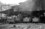Blick in den Lokschuppen in Bucay, einem Ort nahe der Hafenstadt Guayaquil, die als Tor zu den Pazifikstränden und den Galapagosinseln gilt. Im Schuppen stehen die Loks No. 45, 47 und 43 der Ferrocarilles Ecuatorianos (G&Q), die in den 1940er Jahren bei Baldwin (USA) gebaut wurden. (13.12.1971) <i>Foto: Jörg Schulze</i>