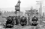 Lokversammlung im Bw Heilbronn mit 023 035, 023 019, 023 028 (alle Bw Crailsheim), 050 227 (Bw Mannheim) und 050 495 (Bw Heilbronn). (10.07.1971) <i>Foto: Burkhard Wollny</i>
