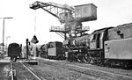 Während der Bekohlungskran den Schlackensumpf ausbaggert warten 023 028, 023 019, 023 035 und 064 289 im Bw Heilbronn. (10.07.1971) <i>Foto: Burkhard Wollny</i>