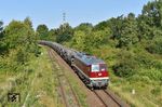 Blick von der Brücke der B 91 bei Theißen auf die vom Erfurter Bahnservice aufgearbeitete 142 001 mit einem leeren Futtermittelzug von Großkorbetha nach Zeitz. (25.07.2026) <i>Foto: Ralf Opalka</i>