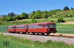 Für den Einsatz auf der Krebsbachtalbahn wurde eigens die dem DB Museum gehörende dreiteilige Schienenbuseinheit (Motorwagen 798 652-4 zusammen mit dem Steuerwagen 998 896-5 und dem Beiwagen 998 257-2) am 9. Februar 2026 vom Bh Ulm zum Bh Ludwigshafen umbeheimatet. Am Tag der Saisoneröffnung konnte der Schienenbus bei Neckarbischofsheim Stadt abgelichtet werden. Zwei Monate später beendete die Sommerhitze den Betrieb vorzeitig.  (01.05.2026) <i>Foto: Zeno Pillmann</i>