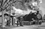 38 234 (Bw Chemnitz Hbf) leistet einer preußischen G 12 Vorspann vor einem Güterzug in Böhringen zwischen Roßwein und Berbersdorf auf der Strecke nach Niederwiesa. (04.1957) <i>Foto: Privatfoto</i>