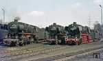 Die neue Bismarcker Schönheit 044 508 präsentiert sich neben ihren Normalo-Schwestern 044 472 und 044 383. (01.04.1976) <i>Foto: Wolfgang Bügel</i>