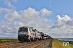 Das zweite 218-Pärchen an diesem Tag waren 218 497 und 218 341, die mit AS 1418 nach Westerland (Sylt) auf dem Hindenburgdamm östlich von Morsum unterwegs waren.  (22.08.2026) <i>Foto: Joachim Bügel</i>