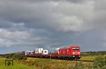 Zwischen Keitum und Morsum versucht 245 027 mit AS 1423 nach Niebüll dem nächsten Regenschauer zu entkommen. (22.08.2026) <i>Foto: Joachim Bügel</i>