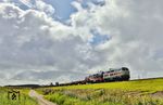 In dieser Kombination waren die beiden "weißen" 218 341 und 218 497 zusammen erstmalig unterwegs. Mit dem AS 1445 nach Niebüll röhren sie über den Hindenburgdamm bei Morsum. (22.08.2026) <i>Foto: Joachim Bügel</i>