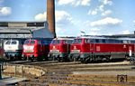 Eine weitere 215-Parade hatte sich im Bw Ehrang aufgestellt: 215 043 in ozeanblau/beige, 215 135 in orientrot sowie 215 133 und 215 035 in purpurrot.  (10.03.1991) <i>Foto: Wolfgang Bügel</i>