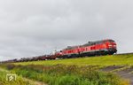 Im Regen geht es für 218 385 und 218 832 mit AS 1419 nach Niebüll östlich von Morsum über den Hindenburgdamm aufs Festland. (23.08.2026) <i>Foto: Joachim Bügel</i>