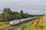 248 501 mit Talgo-Tz 1815, dem ICE 2375 nach Frankfurt (Main), bei Morsum. (23.08.2026) <i>Foto: Joachim Bügel</i>