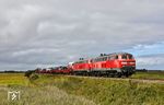 Zwischen Keitum und Morsum zeigte an diesem Tag sogar einmalig der Sonnengott Erbarmen und bescherte ein Sonnenbild mit 218 385 und 218 832 vor AS 1433 von Westerland (Sylt) nach Niebüll. (23.08.2026) <i>Foto: Joachim Bügel</i>