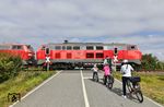 Am Bü Heleeker bei Archsum wartet diese Familie vorschriftsmäßig die Vorbeifahrt des Autozuges AS 1433 mit 218 385 und 218 832 ab. (23.08.2026) <i>Foto: Joachim Bügel</i>